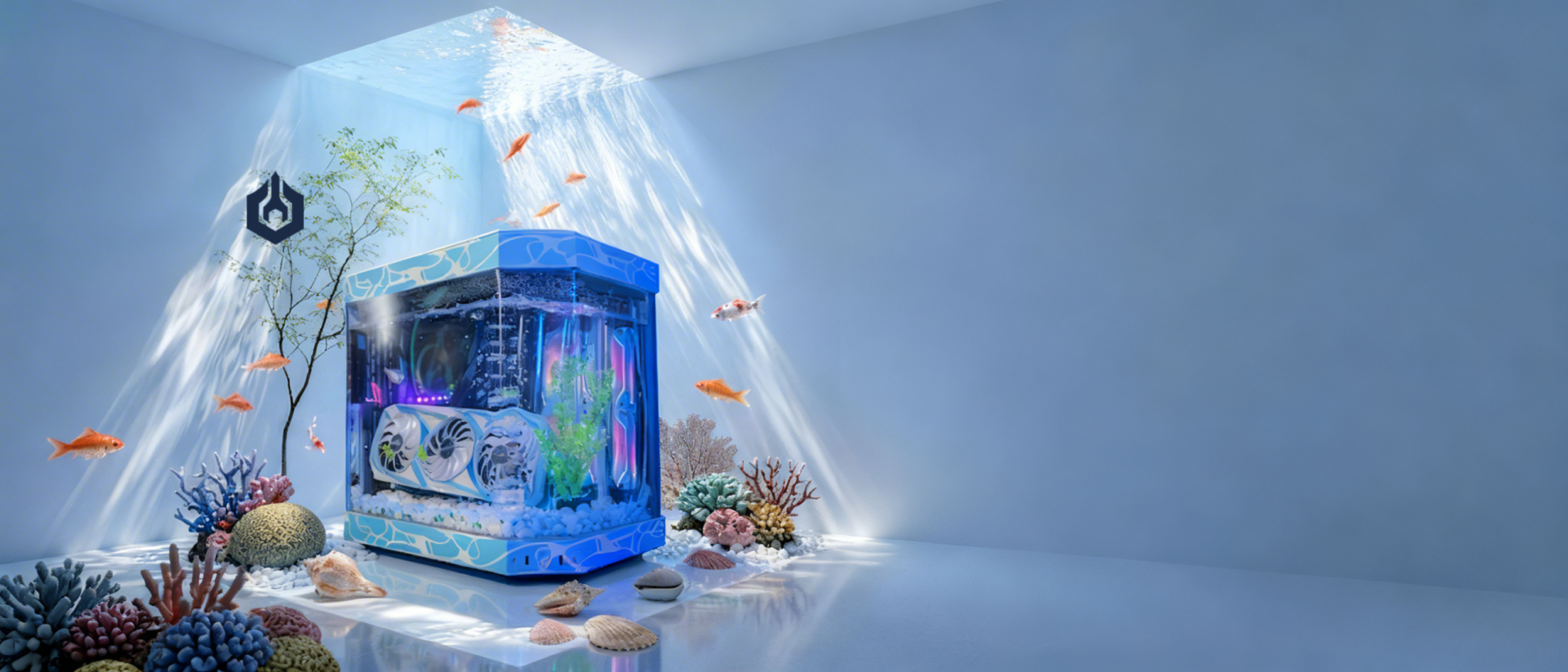 Aquarium2 scaled